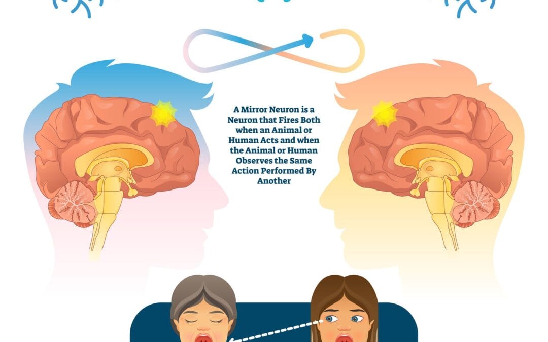 Hersenen en voetbewegingen